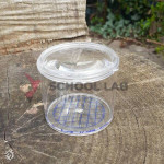 Bug Pots - Pack of 12